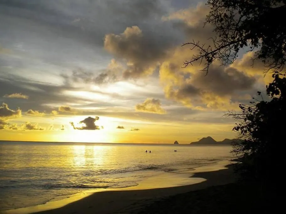 Joli T2 L'Oasis Vue Mer Des Caraibes Proche Des Plages Sainte-Luce
