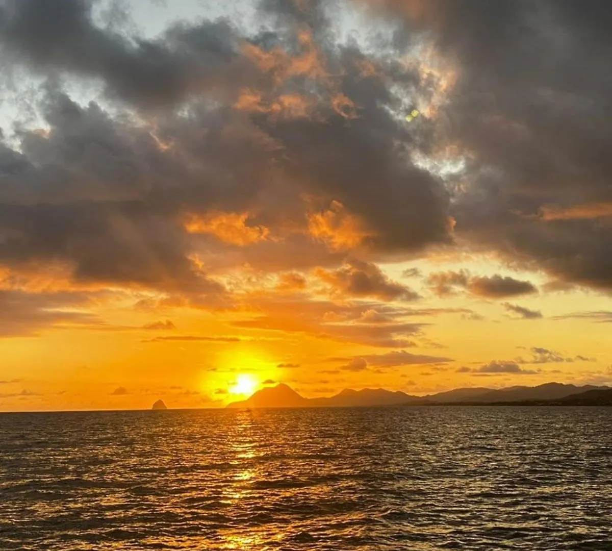 Apartmán Joli T2 L'Oasis Vue Mer Des Caraibes Proche Des Plages Sainte-Luce