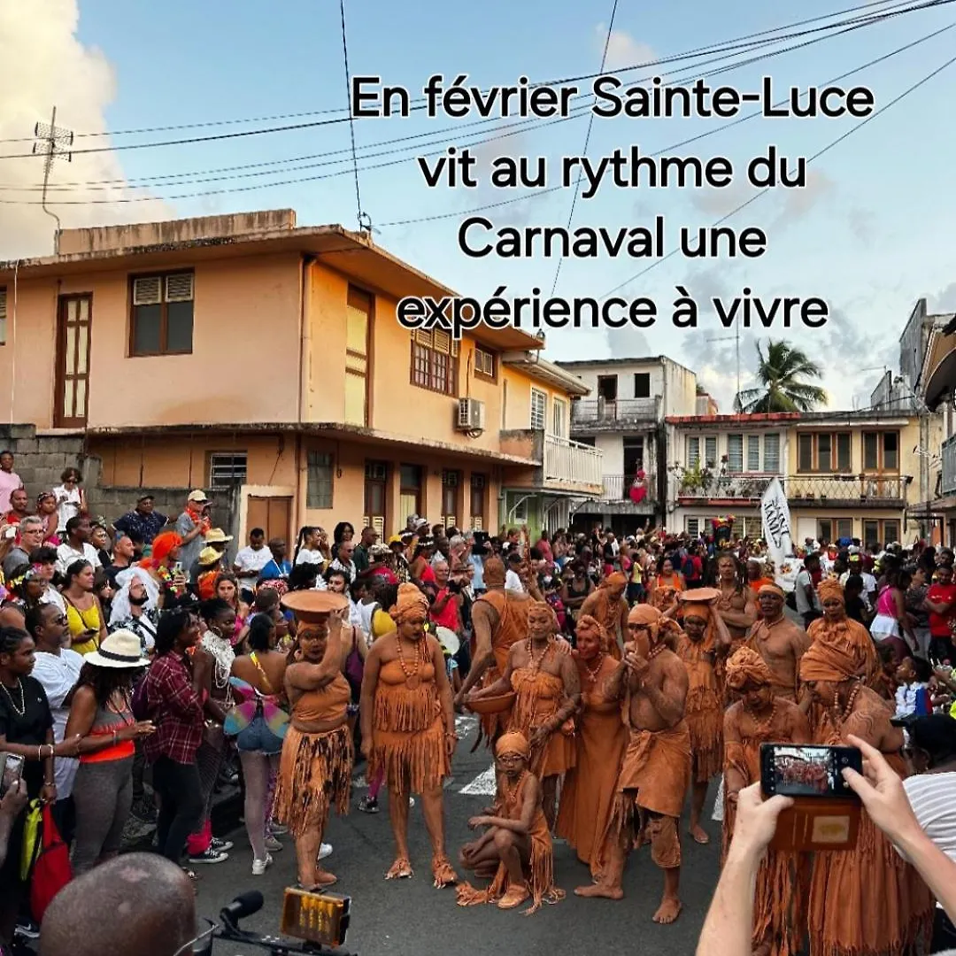 Joli T2 L'Oasis Vue Mer Des Caraibes Proche Des Plages Sainte-Luce