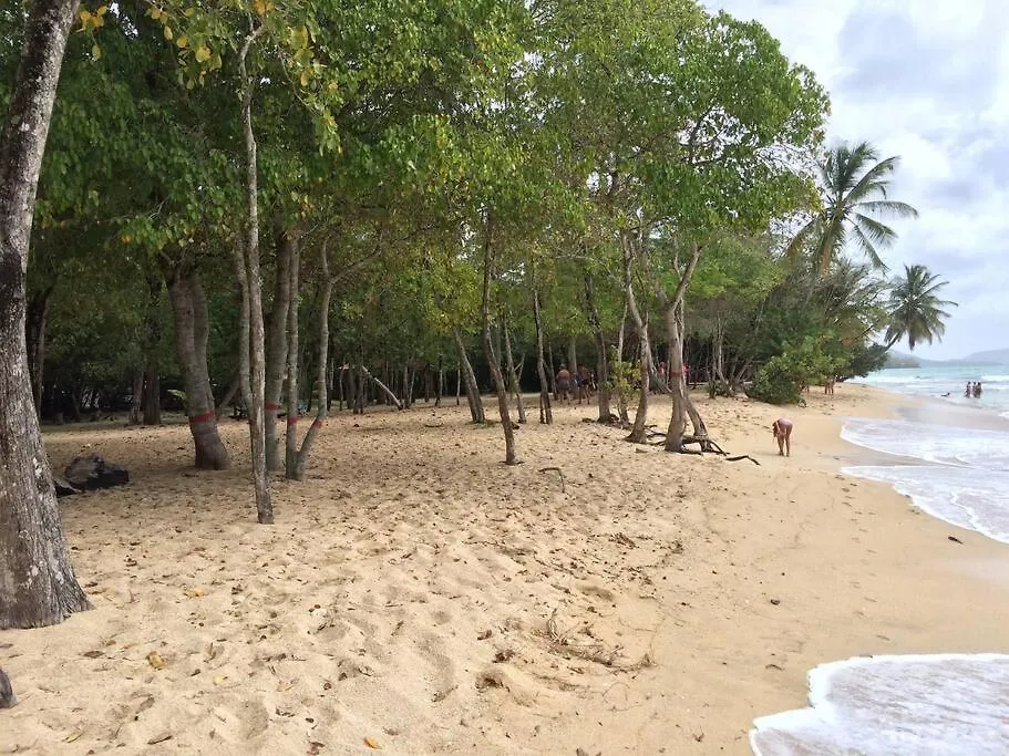 Appartement Joli T2 L'Oasis Vue Mer Des Caraibes Proche Des Plages Sainte-Luce