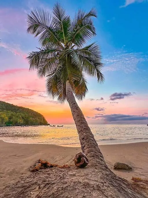 Joli T2 L'Oasis Vue Mer Des Caraibes Proche Des Plages Sainte-Luce